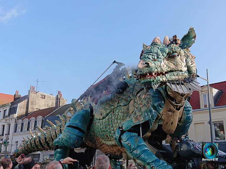 dragon de calais