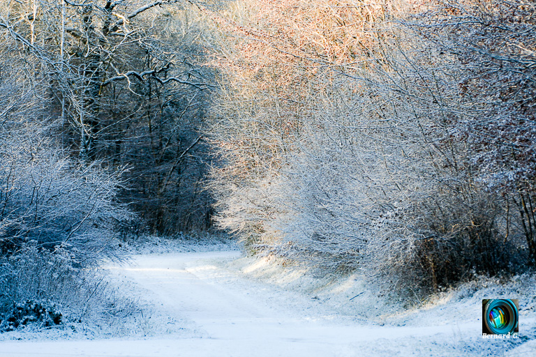 photographie artistique de Bernard G. Attention, route glissante