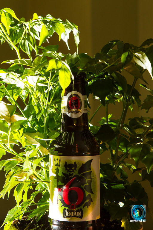 L'art de la bière