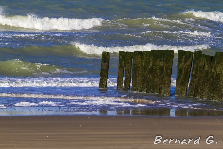 au rendez-vous des vagues