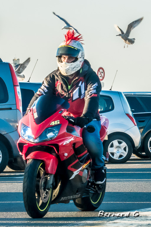 Motard à la crête iroquoise