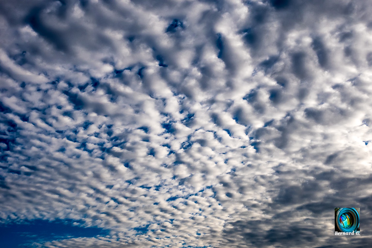 Un ciel qui semble fait de coton
