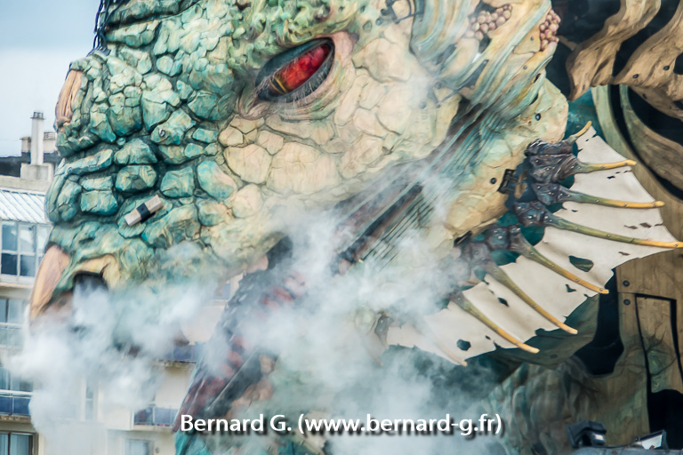 Le Dragon de Calais