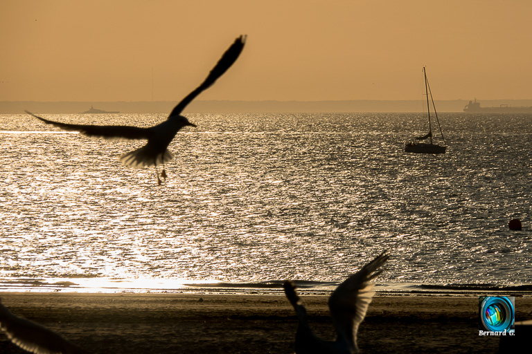 coucher de soleil argenté