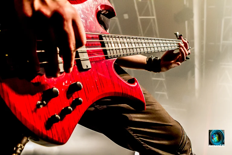 Zoom sur la guitare basse