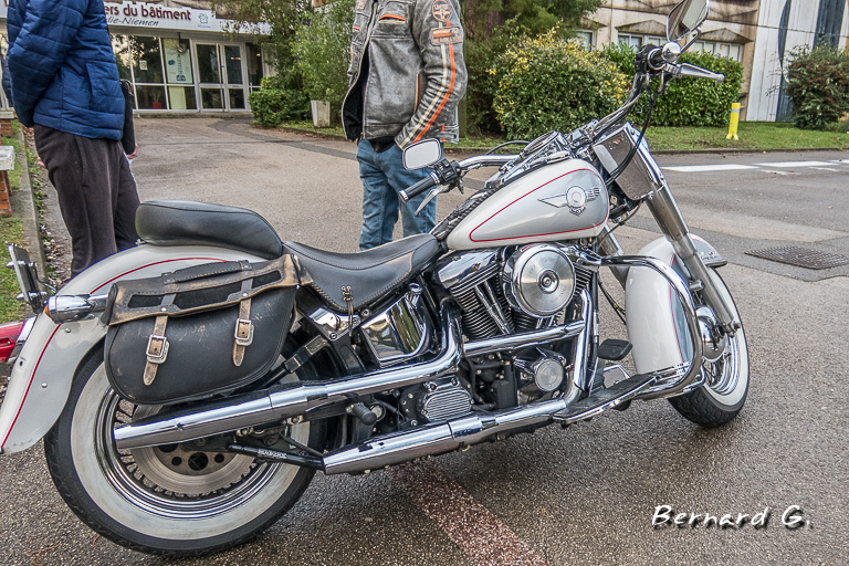 Harley Davidson