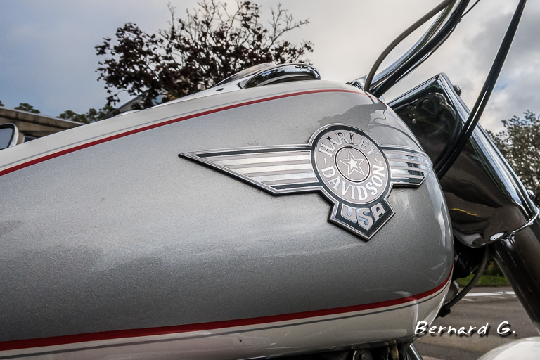 Le logo Harley Davidson