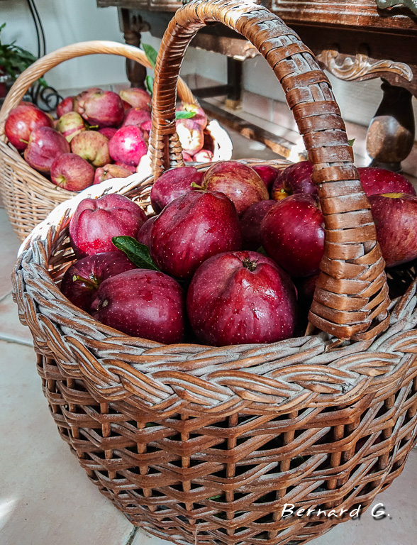 Pommes rouges