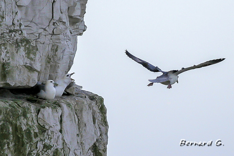 Au creux de la falaise