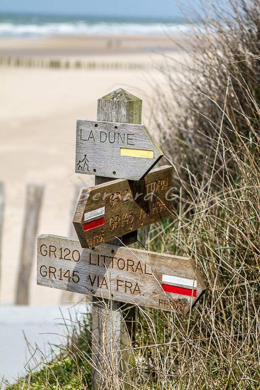 A la croisée des chemins