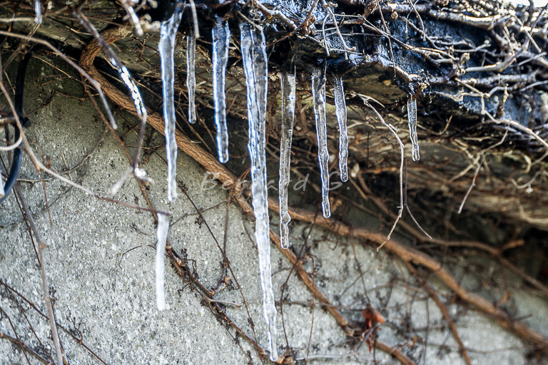 L'hiver au 1er avril avril