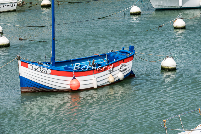 Flobart