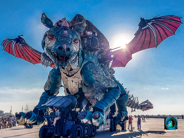 Quand le Dragon de Calais vous regarde droit dans les yeux Dragon de Calais