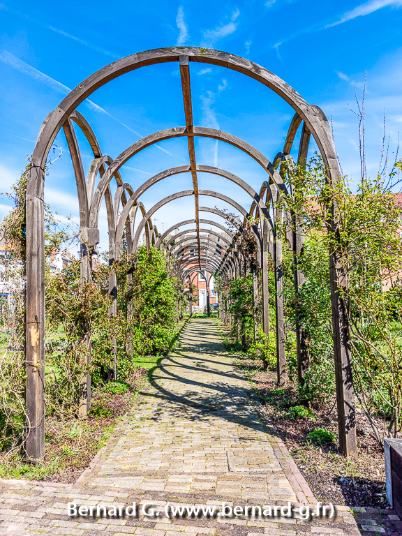 jardin-tudor-153933