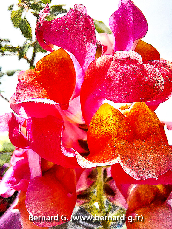 couleurs éphémères