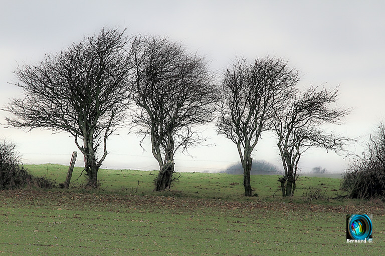 Restons groupés