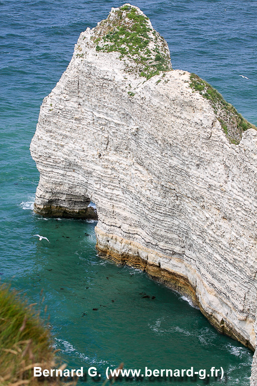 Quelles beautés ces falaises d'Etretat !