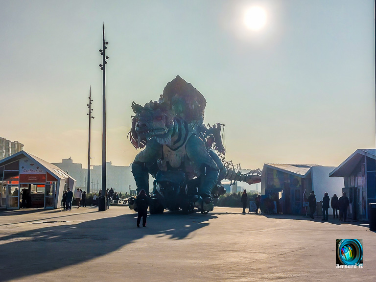 dragon de toussaint