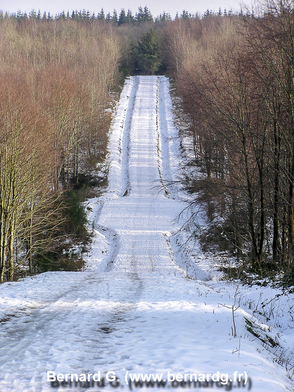 foret enneigee-2260001