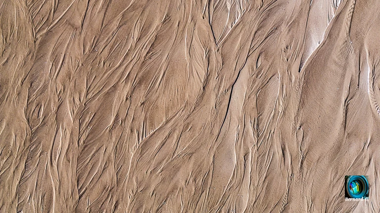 Natural Art by Bernard G.