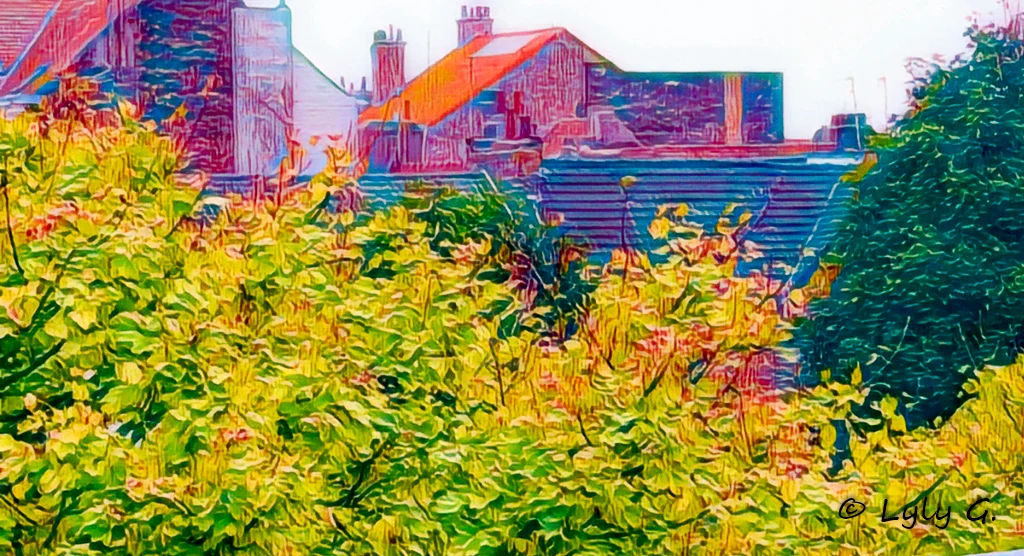 Coin de verdure citadin