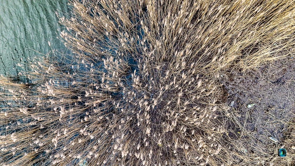 Artistic Riverside by Bernard G.