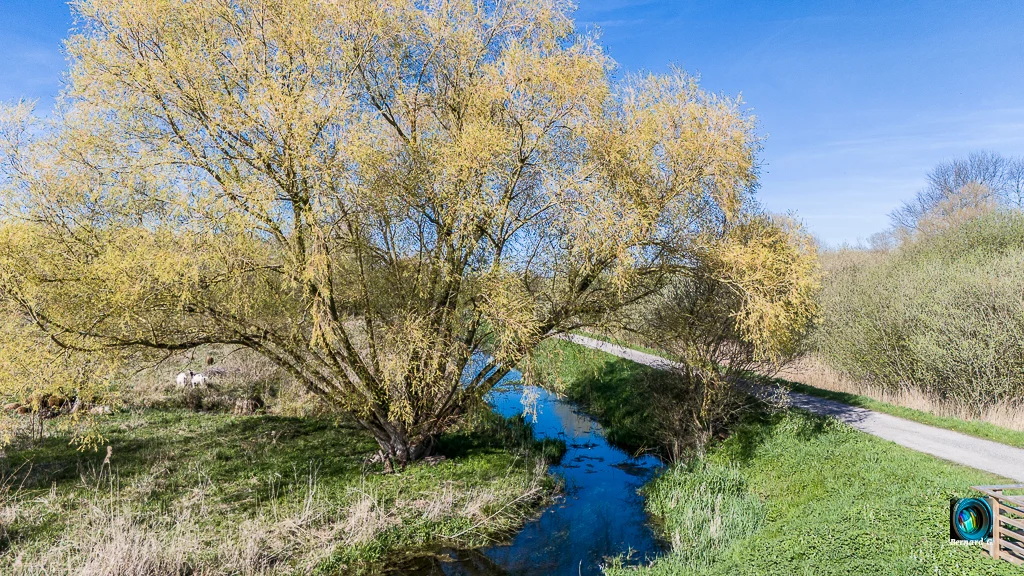 La campagne et du ciel bleu