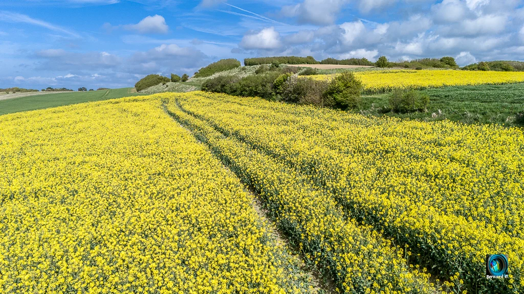Les jolies couleurs des beaux jours