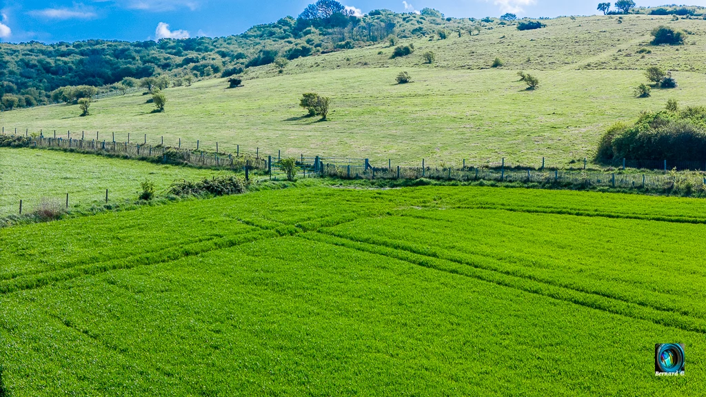 La montage verdoyante