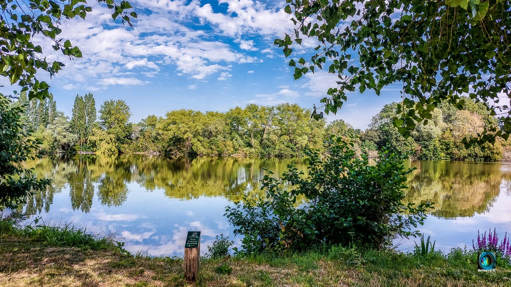 Mais que la campagne est belle